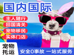 奇台江布拉克空运公司国际宠物托运 【国